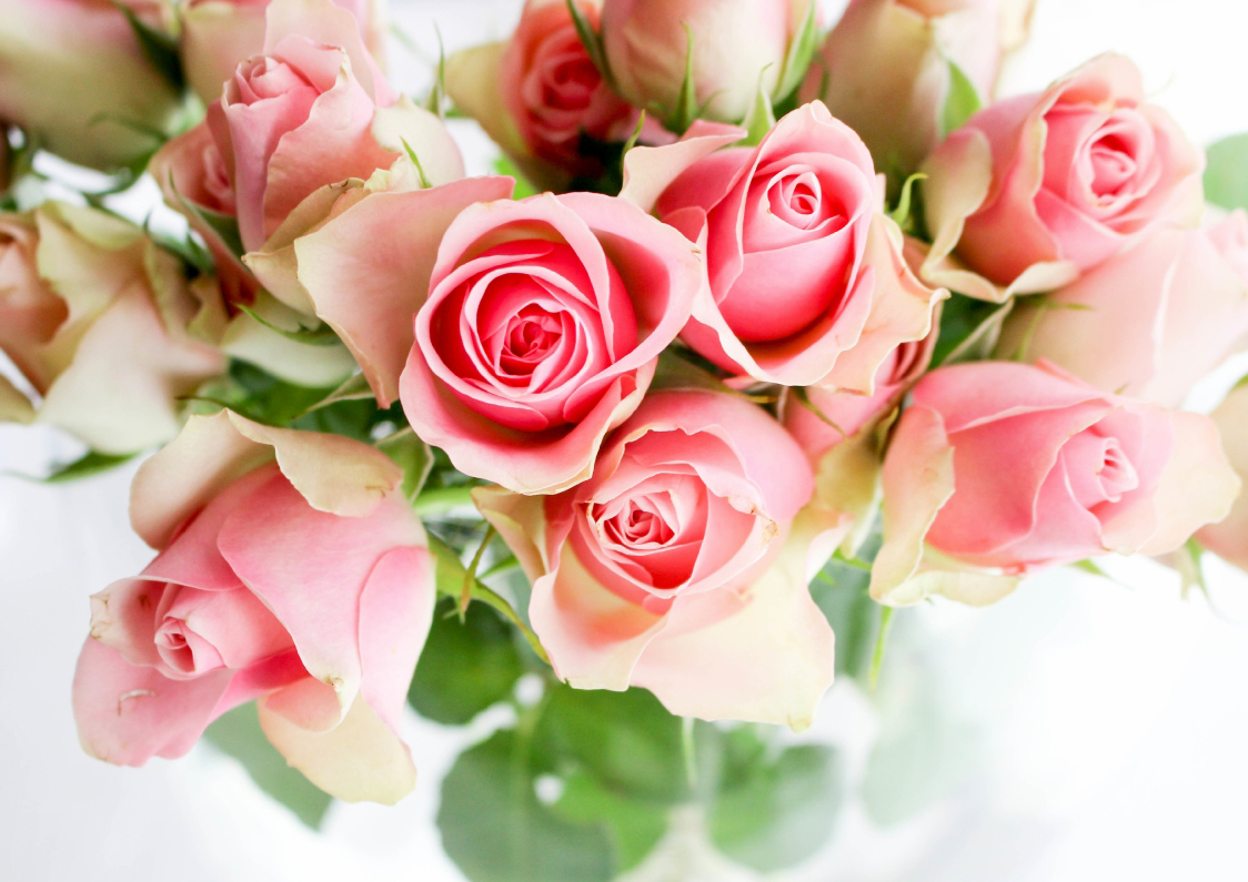 rozen